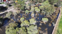 Perth sewage spill