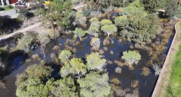 Perth sewage spill