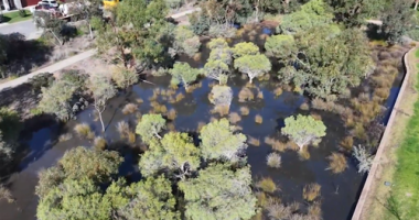 Perth sewage spill
