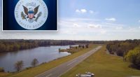 Pilot in deadly crash tried to dodge turtle on North Carolina runway, NTSB finds