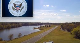 Pilot in deadly crash tried to dodge turtle on North Carolina runway, NTSB finds