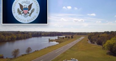 Pilot in deadly crash tried to dodge turtle on North Carolina runway, NTSB finds