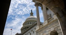 Please make sure the 'big bill' doesn't let Big Tech destroy US