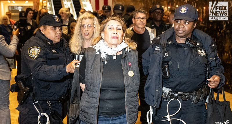 Police swiftly remove anti-ICE protesters who invaded Trump Tower as nationwide demonstrations intensify