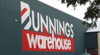 There is a new push to ban a popular plant sold at Bunnings Warehouse.