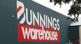There is a new push to ban a popular plant sold at Bunnings Warehouse.