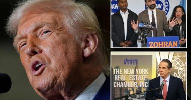 President Trump takes center stage in NYC mayoral race as Dem candidates spar over how to 'fight' his agenda