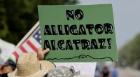 Protesters line highway to oppose Trump's 'Alligator Alcatraz'