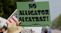 Protesters line highway to oppose Trump's 'Alligator Alcatraz'