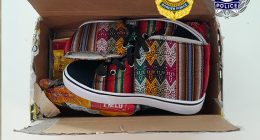 Two men have been sentenced after trying to smuggle 100 grams of cocaine into the Northern Territory, hidden inside sneakers.