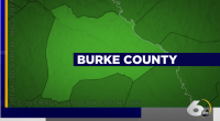 Rabid fox located in Burke County
