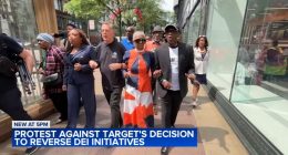 Rainbow PUSH Coalition, civil rights leaders rally on State Street in Loop, Chicago to protest Target for scaling back DEI