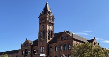 Rantoul man denied pretrial release in stabbing of 8-year-old