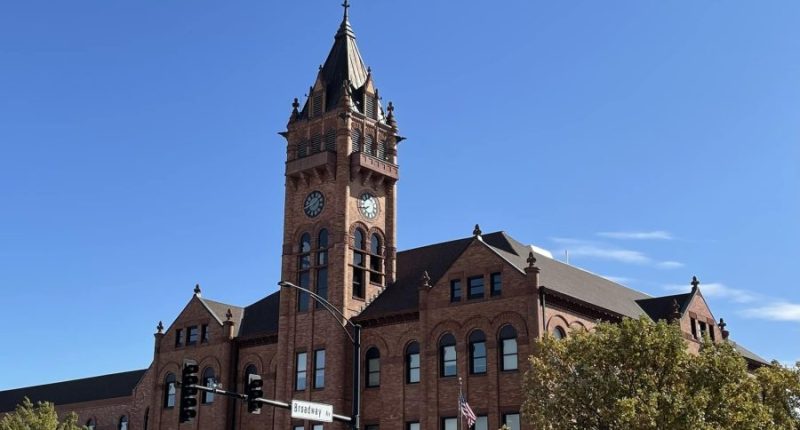 Rantoul man denied pretrial release in stabbing of 8-year-old