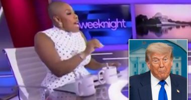 SCOTUS birthright citizenship ruling causes MSNBC host to erupt on air