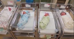 SCOTUS rules on birthright citizenship case: Local legal experts weigh in
