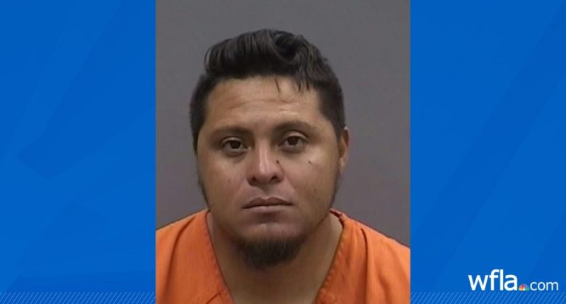 Secret recording leads to child trafficking victim's rescue after sister calls 911: HCSO