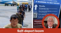 Self-deport boom lifts paychecks | Reporter Replay (Video)