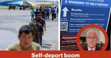 Self-deport boom lifts paychecks | Reporter Replay (Video)