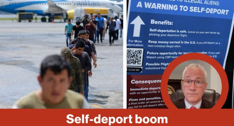 Self-deport boom lifts paychecks | Reporter Replay (Video)