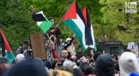 Self-proclaimed 'Jew hater' pleads guilty after targeting victims at NYC protests