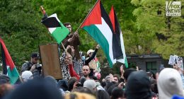 Self-proclaimed 'Jew hater' pleads guilty after targeting victims at NYC protests