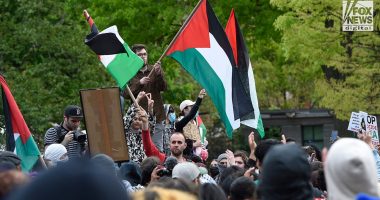 Self-proclaimed 'Jew hater' pleads guilty after targeting victims at NYC protests
