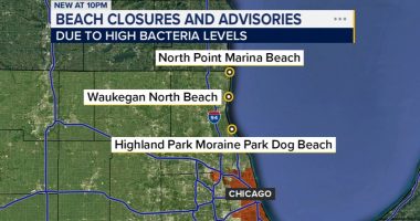 Several Chicago-area beaches along Lake Michigan, inland closed, under advisory due to high E. coli levels, health officials say