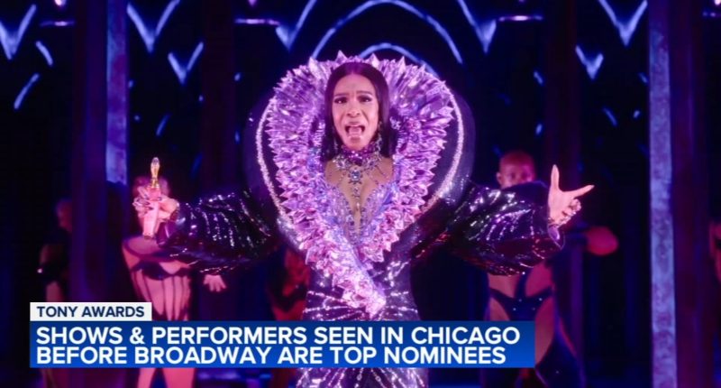 Several Tony awards 2025 nominees spent time on Chicago stages first, like 'Death Becomes Her,' 'Purpose'