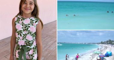 Shark nearly rips off 9-year-old girl's hand in terrifying Florida shark attack
