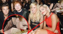 She's hungry for something! Iggy Azalea strikes up banter with Harry Styles after she's caught chowing down buffalo wings behind him in VMAs snap