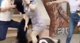 A brawl breaks out at Disneyland due to queue cutting.