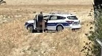 Two police officers engaging in sexual activity near a police car.