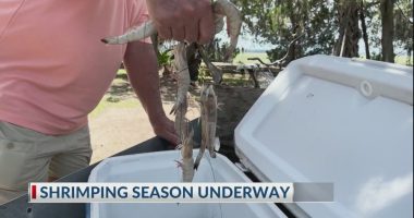 Shrimping season begins in Georgia, challenges continue