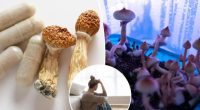 Single dose of 'magic mushrooms' provides 5 years of depression relief