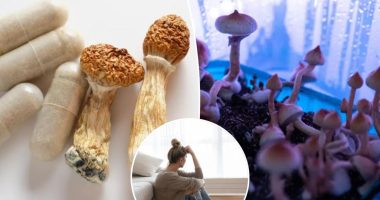 Single dose of 'magic mushrooms' provides 5 years of depression relief