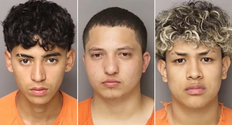 Six migrants charged in SC mom’s murder detailed crime in eerie messages: ‘Just the beginning’