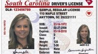 South Carolina DMV will begin mailing driver's licenses and ID cards this fall. Here's what to know