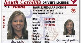 South Carolina DMV will begin mailing driver's licenses and ID cards this fall. Here's what to know