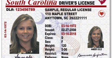South Carolina DMV will begin mailing driver's licenses and ID cards this fall. Here's what to know