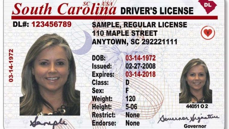 South Carolina DMV will begin mailing driver's licenses and ID cards this fall. Here's what to know
