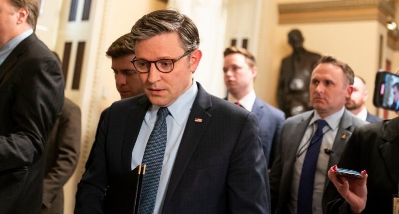 Speaker Johnson teases follow-ups to the 'one big, beautiful bill'