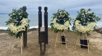 Each carved trunk represents one of the surfers, evoking the image of driftwood sculpted by time and tide. Two of the pieces are intertwined at their base, symbolising the unbreakable bond between brothers Callum and Jake.