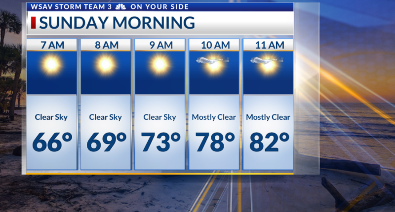 Storm Team 3: Hazy Sunshine & Warmer Temperatures Sunday