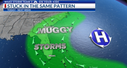 Storm Team 3: Hot & humid with more afternoon storms