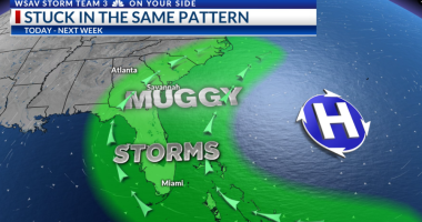 Storm Team 3: Hot & humid with more afternoon storms