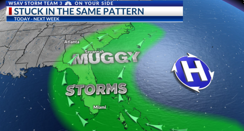 Storm Team 3: Hot & humid with more afternoon storms
