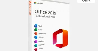 Streamline Your Workflow With This $30 Microsoft Office Professional Plus 2019 License