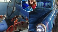 Student stumbled across fish-filled car while enjoying beach day out