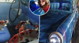 Student stumbled across fish-filled car while enjoying beach day out